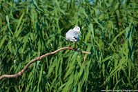 Road Trip - Delta Dunarii 61