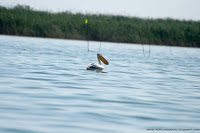 Road Trip - Delta Dunarii 62