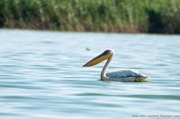 Road Trip - Delta Dunarii 63