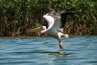 Road Trip - Delta Dunarii 64