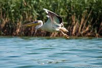 Road Trip - Delta Dunarii 65