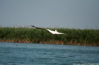 Road Trip - Delta Dunarii 69