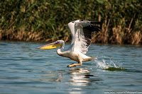 Road Trip - Delta Dunarii 72