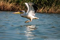 Road Trip - Delta Dunarii 73