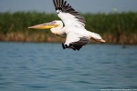 Road Trip - Delta Dunarii 74