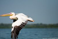 Road Trip - Delta Dunarii 75