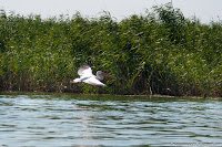 Road Trip - Delta Dunarii 76