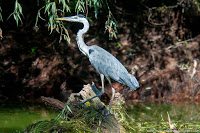 Road Trip - Delta Dunarii 78