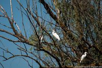 Road Trip - Delta Dunarii 80