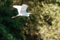 Road Trip - Delta Dunarii 82