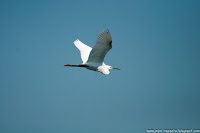 Road Trip - Delta Dunarii 83