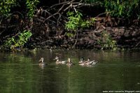 Road Trip - Delta Dunarii 84