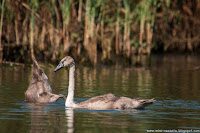 Road Trip - Delta Dunarii 85