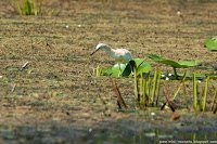 Road Trip - Delta Dunarii 93