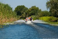 Road Trip - Delta Dunarii 100