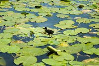 Road Trip - Delta Dunarii 103