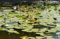 Road Trip - Delta Dunarii 104