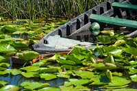 Road Trip - Delta Dunarii 105