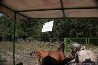 Road Trip - Delta Dunarii 108