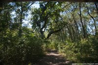 Road Trip - Delta Dunarii 111