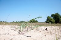 Road Trip - Delta Dunarii 113