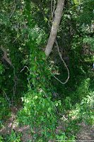 Road Trip - Delta Dunarii 115