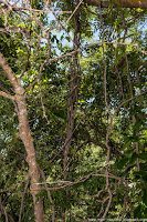 Road Trip - Delta Dunarii 116