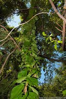 Road Trip - Delta Dunarii 117