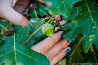 Road Trip - Delta Dunarii 119