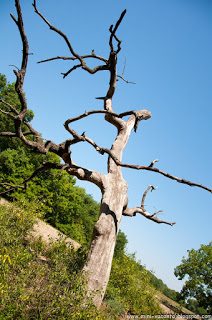 Road Trip - Delta Dunarii 120