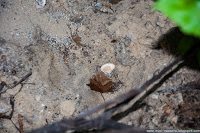 Road Trip - Delta Dunarii 122