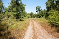 Road Trip - Delta Dunarii 123