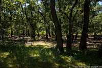 Road Trip - Delta Dunarii 124