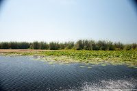 Road Trip - Delta Dunarii 128