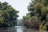 Road Trip - Delta Dunarii 131