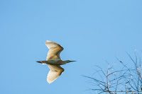 Road Trip - Delta Dunarii 133