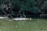 Road Trip - Delta Dunarii 134