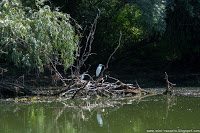 Road Trip - Delta Dunarii 135