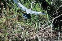 Road Trip - Delta Dunarii 137