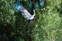 Road Trip - Delta Dunarii 138