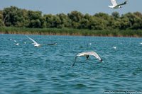 Road Trip - Delta Dunarii 139