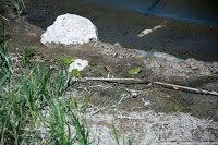 Road Trip - Delta Dunarii 169