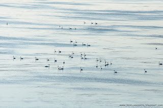 Road Trip - Delta Dunarii 177