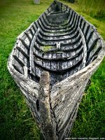 Road Trip - Delta Dunarii 175