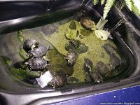 Road Trip - Delta Dunarii 165