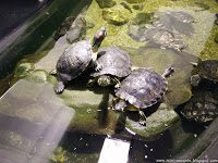 Road Trip - Delta Dunarii 166