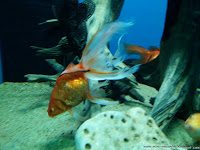 Road Trip - Delta Dunarii 159