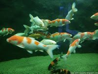 Road Trip - Delta Dunarii 160