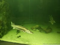 Road Trip - Delta Dunarii 161