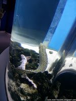 Road Trip - Delta Dunarii 158